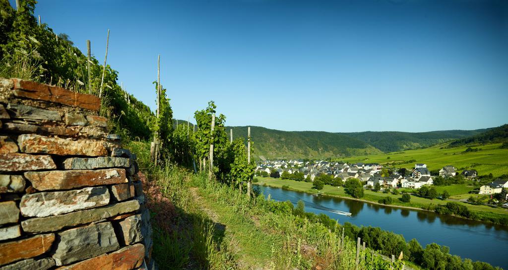Zenz - Ferienwohungen * Ernst
